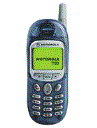 Best available price of Motorola T190 in Malta