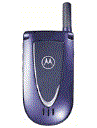 Best available price of Motorola V66i in Malta
